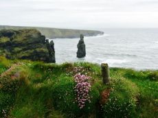 Bromore Cliffs  Ballybunion