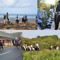 Moonshine Lodge Equestrian Centre