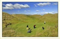 the_crashen_course_the_cashen_course